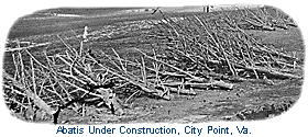 Abatis Under Construction. Original Image Courtesy National Archives